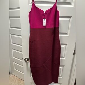 Express NWT size large midi bodycon color block dress